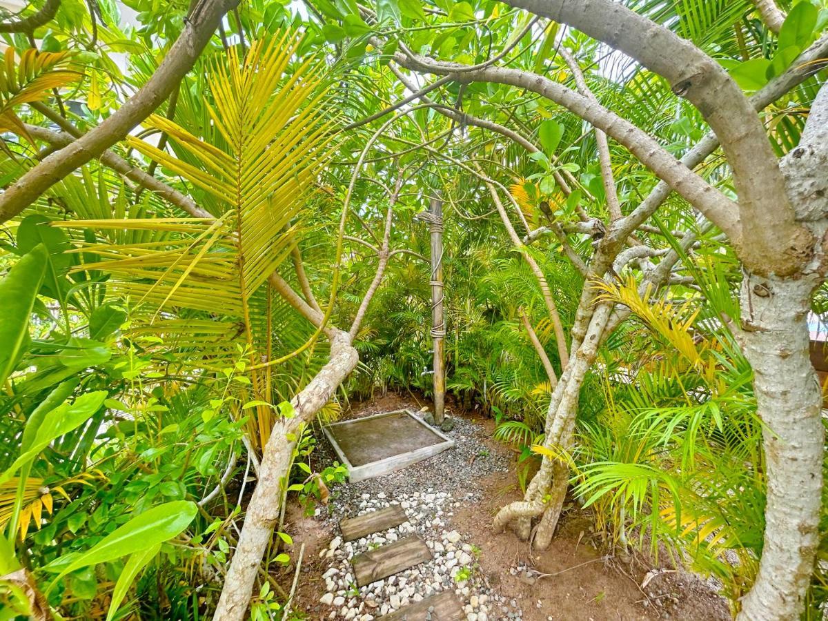 The Seaboards Apartments Seychelles آنس رويال المظهر الخارجي الصورة